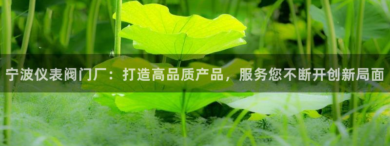 新宝gg总管