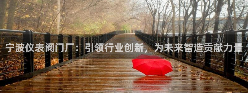 新宝gg为什么没人管