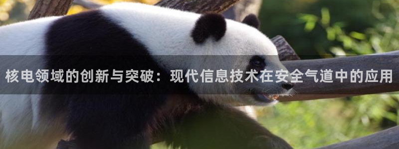 新宝GG登录网页