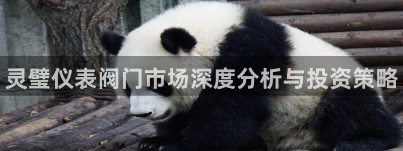 新宝gg游戏登录