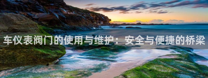 新宝gg入口网址