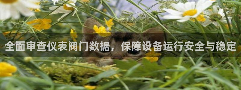 新宝gg平台下载安装