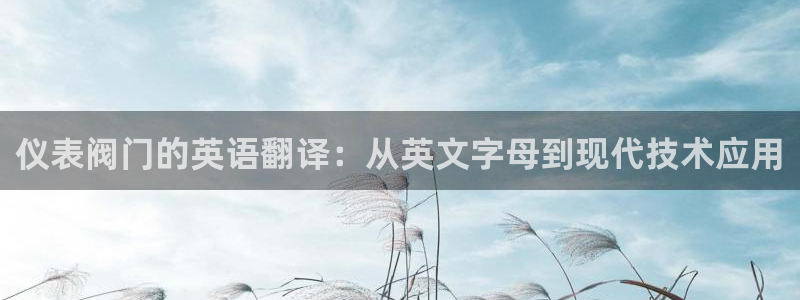 新宝gg客服电话