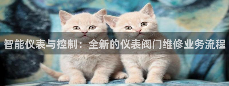 新宝哈哈gg
