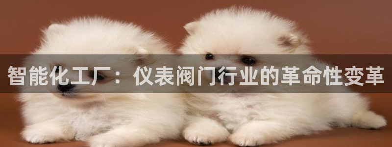 新宝gg创造奇迹 新宝gg