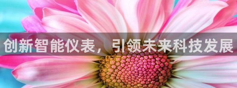 新宝GG桌面