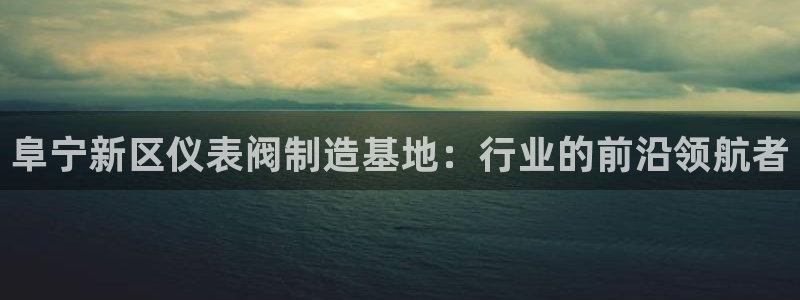 新宝gg娱乐上皇巢网