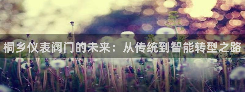 新宝gg最新章节