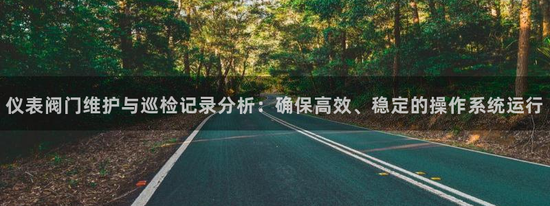 新宝gg代理条件