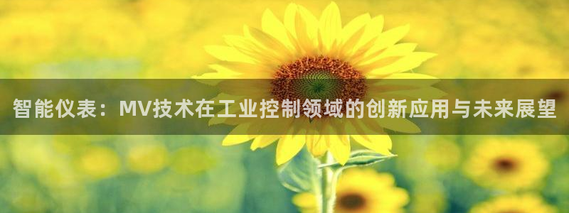 新宝gg官方下载