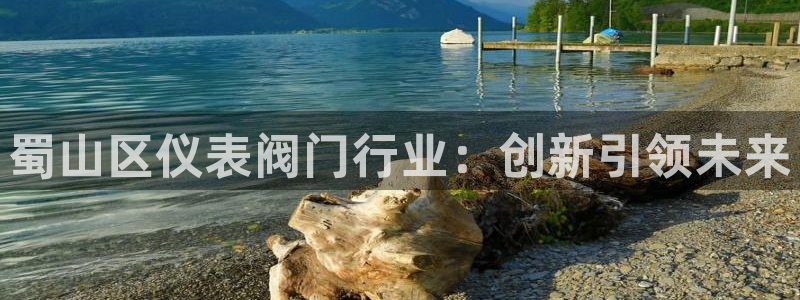 新浪新闻新宝gg