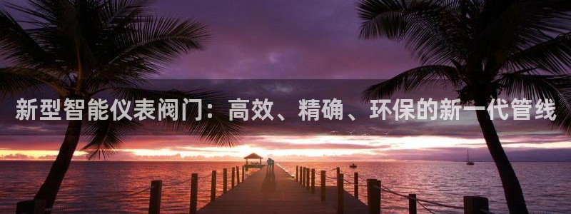 广东新宝电器gg