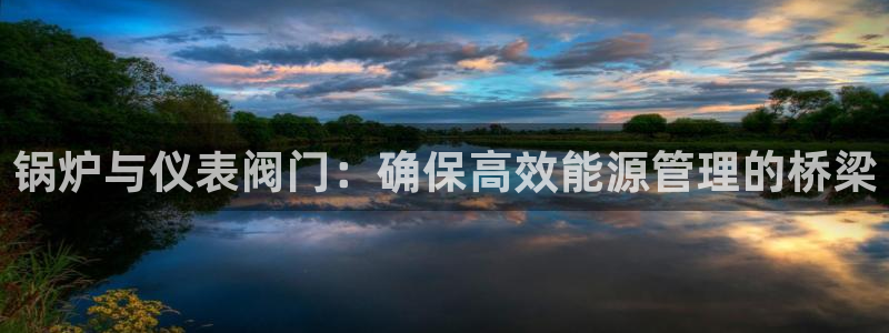 怎么代理新宝gg