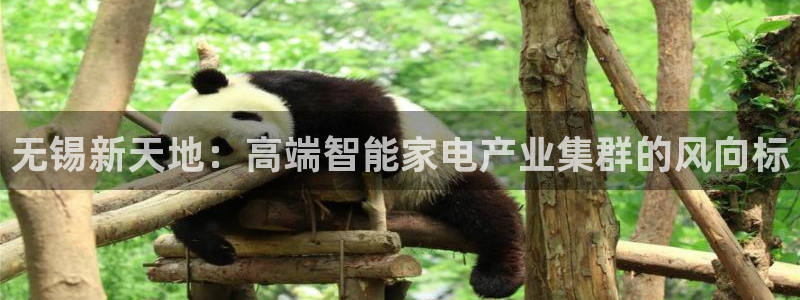 新宝gg娱乐官网