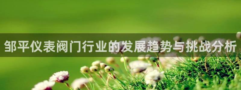 新宝gg手机注册官网