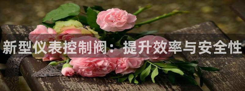 新宝gg手机注册官网