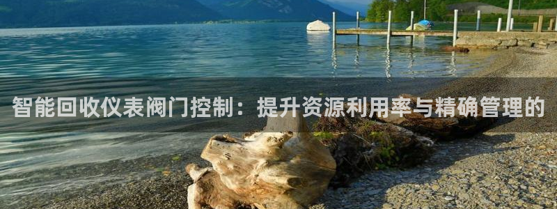 新宝GG创业奇迹