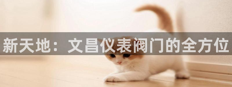 新宝gg返点1956是多少