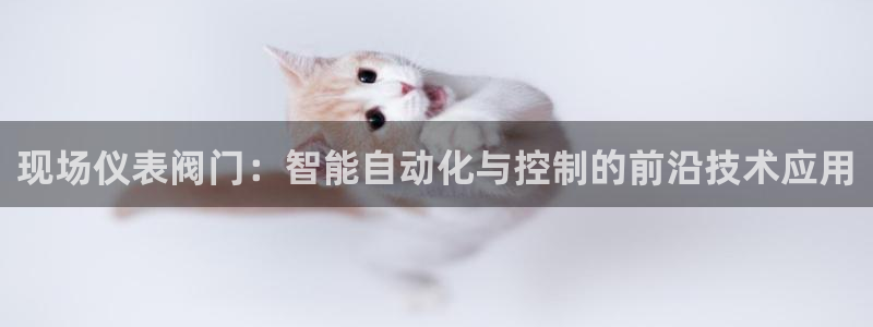 新宝gg是新宝几