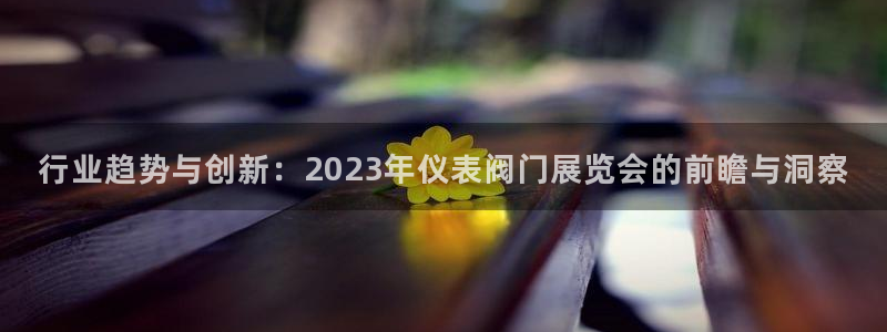 新宝gg娱乐-上鼎狐网