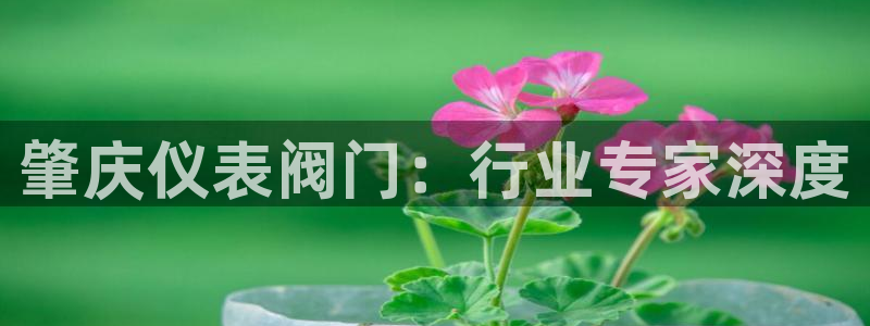 新宝gg客户登录