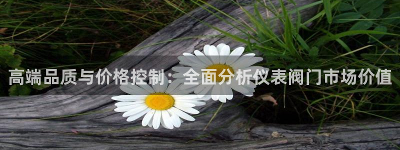 新宝GG 黑钱