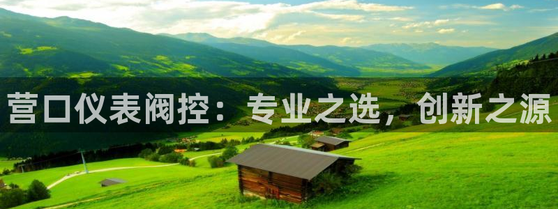 新宝gg赚钱