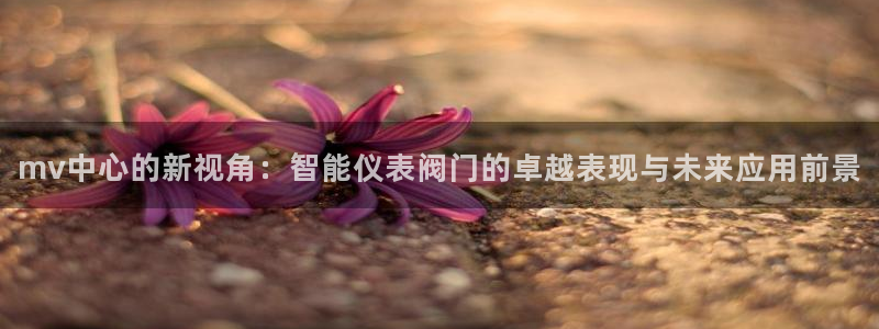 新宝gg娱乐盟主