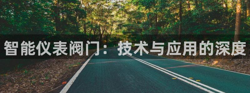 新宝gg手机版下载