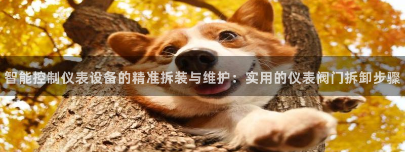 新宝gg返点