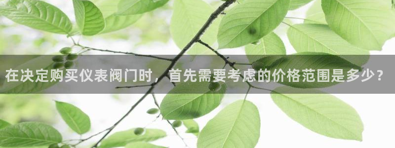 新宝gg玩法
