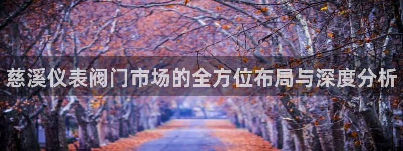 新宝gg网赚