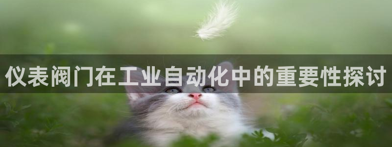新宝GG无法充值