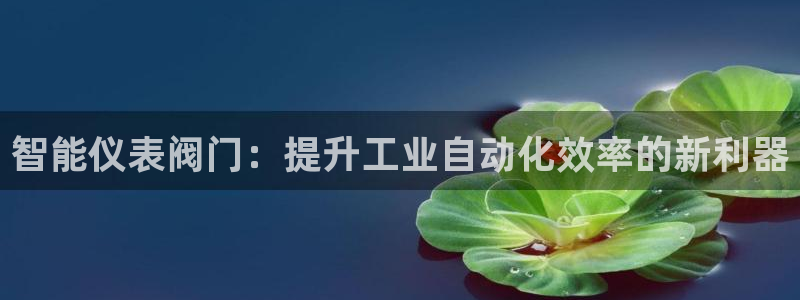 新宝gg代理登录