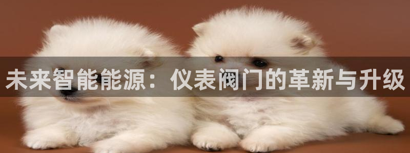 新宝gg新宝5注册