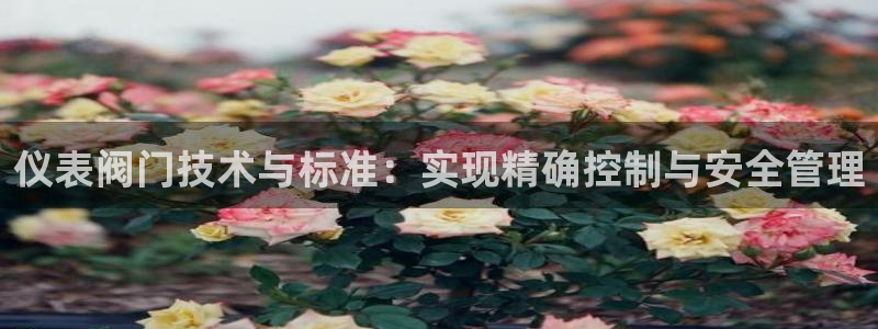 新宝gg有规律么