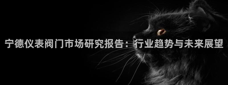 新宝gg娱乐怎么样