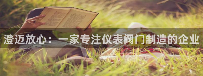 新宝GG专业团队